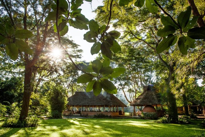 Rivertrees-Country-Inn-Tanzania-accommodation